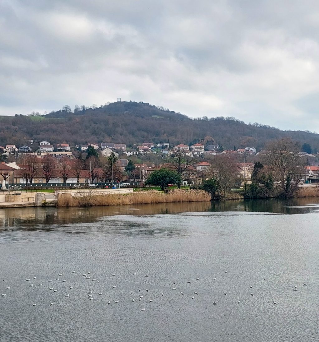 Moselle River